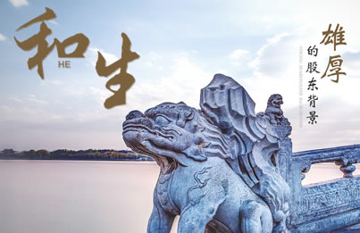 方正和生投资官方品牌网站开发设计
