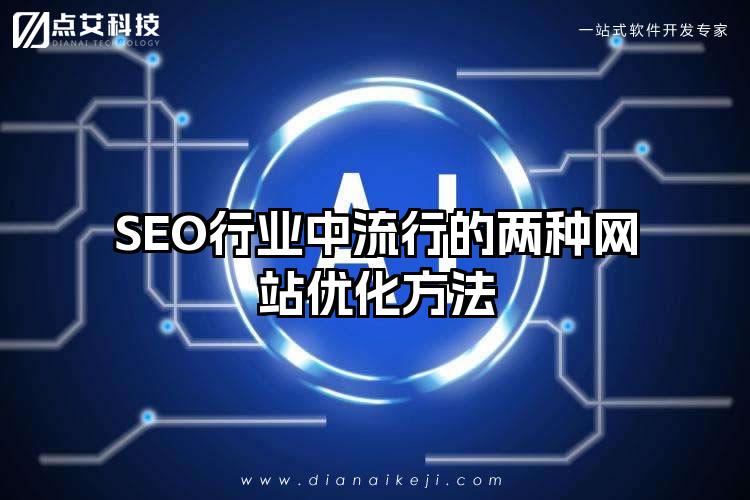 SEO行业中流行的两种网站优化方法