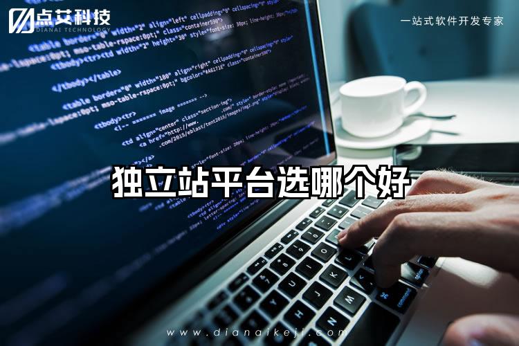 独立站平台选哪个好